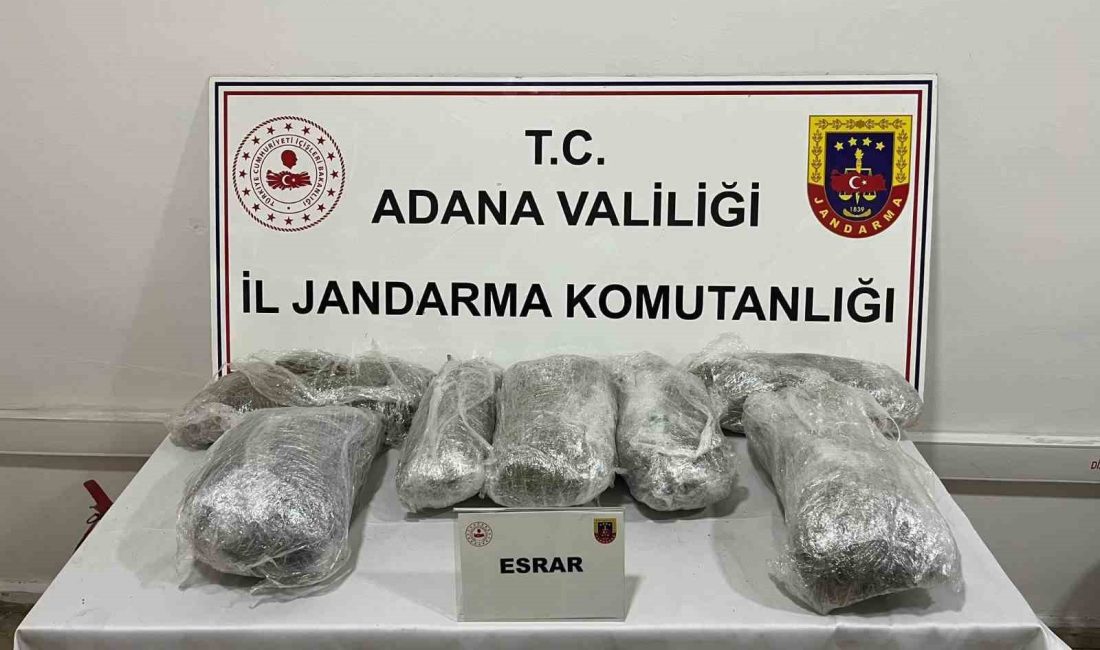 ADANA'DA OTOMOBİLDE YAPILAN ARAMADA